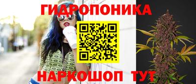 прущая мука Гусев