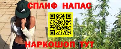 хмурый Гусь-Хрустальный