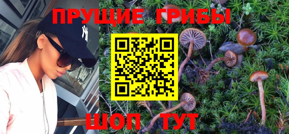 Медногорск  Галлюциногенные грибы ЛСД  магазин продажи наркотиков  Вход с VPN  Псилоцибиновые грибы мухоморы 